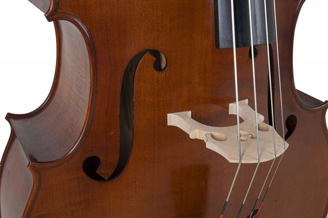 Hovedbilde Gewa Premium Line Semi-Solid model 3/4