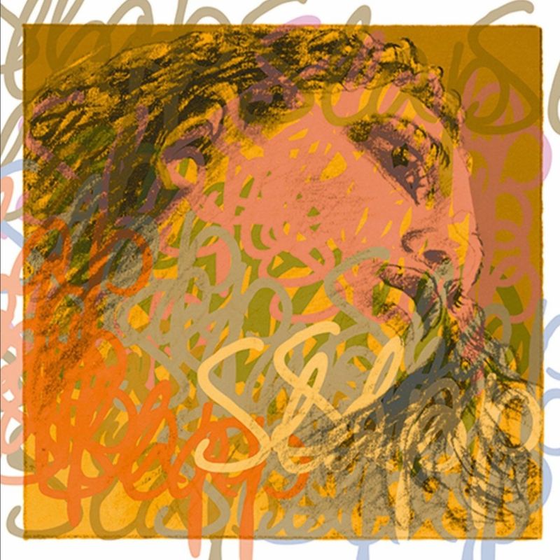 Pirastro Evah Pirazzi Slap