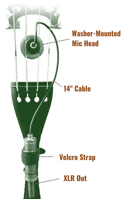 Hovedbilde Ear Trumpet Labs - Nadine