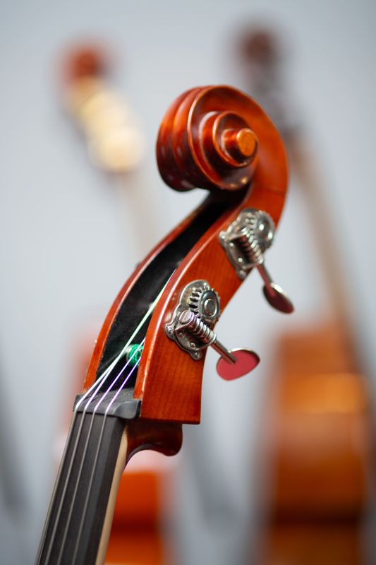 David Gage Czech-Ease (C1) - Bassanova AS