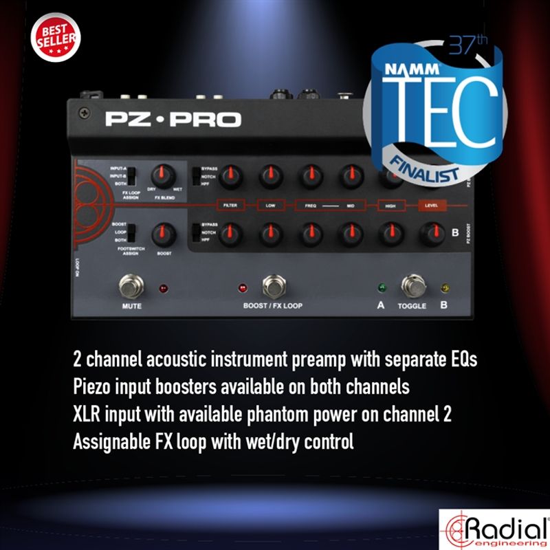 Radial PZ-Pro 2-Channel Acoustic Instrumental Preamp