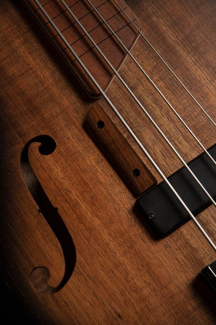 Hovedbilde Cort B4FL MHPZ Fretless